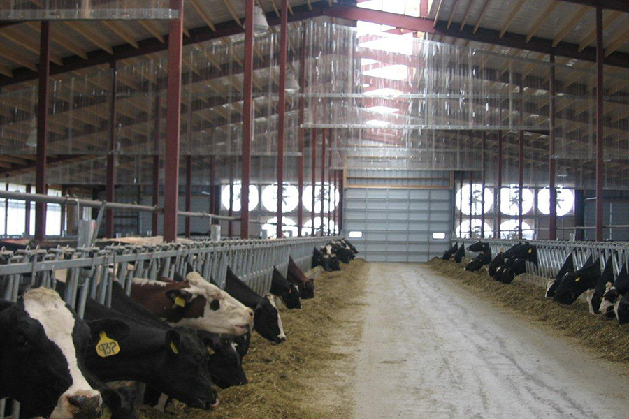 Wayside Dairy (Wayside,WI)